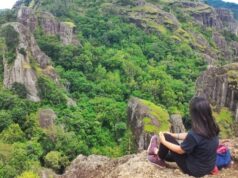 Karna Serangan Lebah, Gunung Api Purba Nglanggeran Ditutup Sementara untuk Wisatawan Karna Serangan Lebah, Gunung Api Purba Nglanggeran Ditutup Sementara untuk Wisatawan