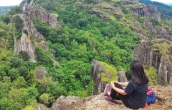 Karna Serangan Lebah, Gunung Api Purba Nglanggeran Ditutup Sementara untuk Wisatawan Karna Serangan Lebah, Gunung Api Purba Nglanggeran Ditutup Sementara untuk Wisatawan