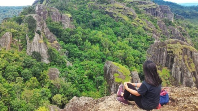 Karna Serangan Lebah, Gunung Api Purba Nglanggeran Ditutup Sementara untuk Wisatawan Karna Serangan Lebah, Gunung Api Purba Nglanggeran Ditutup Sementara untuk Wisatawan