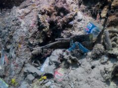 Waduh, Sampah Plastik Indonesia Juara 2 Dunia, Bagaimana Mengatasinya? Waduh, Sampah Plastik Indonesia Juara 2 Dunia, Bagaimana Mengatasinya?