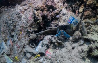 Waduh, Sampah Plastik Indonesia Juara 2 Dunia, Bagaimana Mengatasinya? Waduh, Sampah Plastik Indonesia Juara 2 Dunia, Bagaimana Mengatasinya?