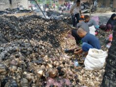 Pasca Kebakaran Di Pasar Pagi Arengka, 5 Ton Bawang Putih Nyaris Ludes Dilalap Api Pasca Kebakaran Di Pasar Pagi Arengka, 5 Ton Bawang Putih Nyaris Ludes Dilalap Api