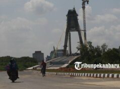 Plt Gubri Wan Thamrin Hasyim Akui Jembatan Siak IV Akan Selesai Januari 2019 Plt Gubri Wan Thamrin Hasyim Akui Jembatan Siak IV Akan Selesai Januari 2019
