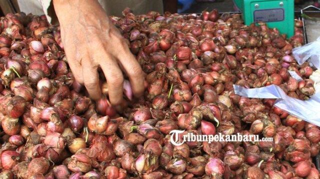 Kini Harga Daging Ayam Kampung Melejit, Rp 52.500 per Kilogram Kini Harga Daging Ayam Kampung Melejit, Rp 52.500 per Kilogram