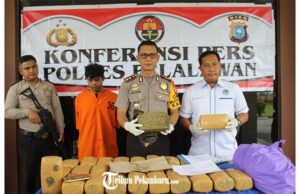Polisi Tangkap Pemilik 30 Kg Ganja di Pelalawan, Efeknya Bisa Bikin Mabuk 30 Ribu Orang Polisi Tangkap Pemilik 30 Kg Ganja di Pelalawan, Efeknya Bisa Bikin Mabuk 30 Ribu Orang