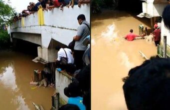 Terungkap Identitas Mayat yang Ditemukan di Bawah Jembatan Jondul Pekanbaru Terungkap Identitas Mayat yang Ditemukan di Bawah Jembatan Jondul Pekanbaru