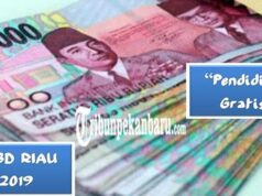Ini Sebabnya Kenapa Program Pendidikan Gratis di Riau Tidak Bisa Dimasukkan dalam APBD Riau 2019,