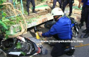 5 Orang Tertimpa Tembok Pembatas Sekolah Ambruk di SDN 141 Pekanbaru, Di Kabarkan 1 Orang Tewas 5 Orang Tertimpa Tembok Pembatas Sekolah Ambruk di SDN 141 Pekanbaru, Di Kabarkan 1 Orang Tewas