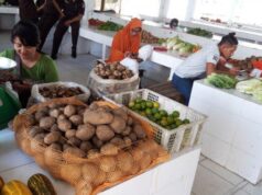 Sampai Sa’at Ini Baru Sepuluh Pedangang Jualan di Pasar Higienis Jalan Teratai Pekanbaru Sampai Sa'at Ini Baru Sepuluh Pedangang Jualan di Pasar Higienis Jalan Teratai Pekanbaru