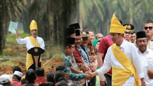 Ada Pun Rangkaian Pemberian Gelar LAM Riau Kepada Presiden Joko Widodo,