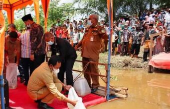 Pemda Rohil Tabur Ribuan Benih Anak Baung di Sungai Rokan