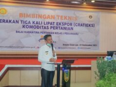 Puluhan Petani di Rohil Ikuti Bimtek Gratieks Komoditas Pertanian