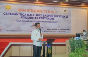 Puluhan Petani di Rohil Ikuti Bimtek Gratieks Komoditas Pertanian