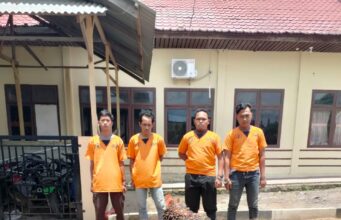 Curi Buah Kelapa Sawit PT. PN V Tanjung Medan, 3 Satpam dan 1 Buruh Diciduk Polsek Pujud