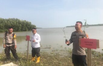 Polsek Sinaboi Lakukan Aksi Penghijauan di Bibir Pantai