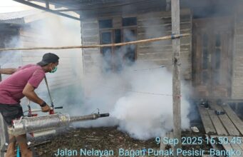 Dinkes Rohil Lakukan Fogging di Sejumlah Titik untuk Tekan Kasus DBD
