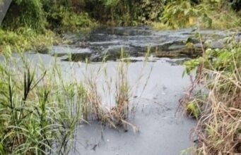 Penghulu Menggala Sakti Soroti Dugaan Pembuangan Limbah oleh PHR, Minta DLH Rohil dan APH Segera Turun Tangan