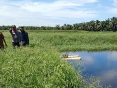 Dapati Limbah Bermasalah di PT DGS, Wabup Rohil Langsung Perintahkan DLH Periksa Limbah PT DGS TPTM