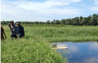 Dapati Limbah Bermasalah di PT DGS, Wabup Rohil Langsung Perintahkan DLH Periksa Limbah PT DGS TPTM