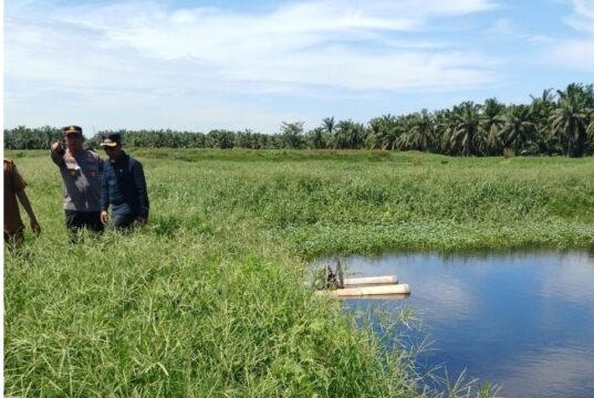 Dapati Limbah Bermasalah di PT DGS, Wabup Rohil Langsung Perintahkan DLH Periksa Limbah PT DGS TPTM