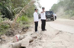 Wabup Rohil Jhony Charles Tinjau Jalan Lintas Menggala Jhonson–Pujud, Desak PUPR Provinsi Segera Bertindak