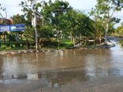 Hujan Beberapa Menit, Bundaran Ikan Batu Enam Depan Kantor DLH Rohil Tergenang, Pengguna Jalan Terganggu